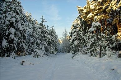 外媒公布年度十佳游戏：《龙腾世纪4》第1《黑神话》第7